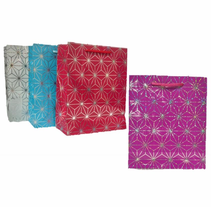 @(DK-714)Bolsa regalo tornasol pequeña 18x21 paquete X12 