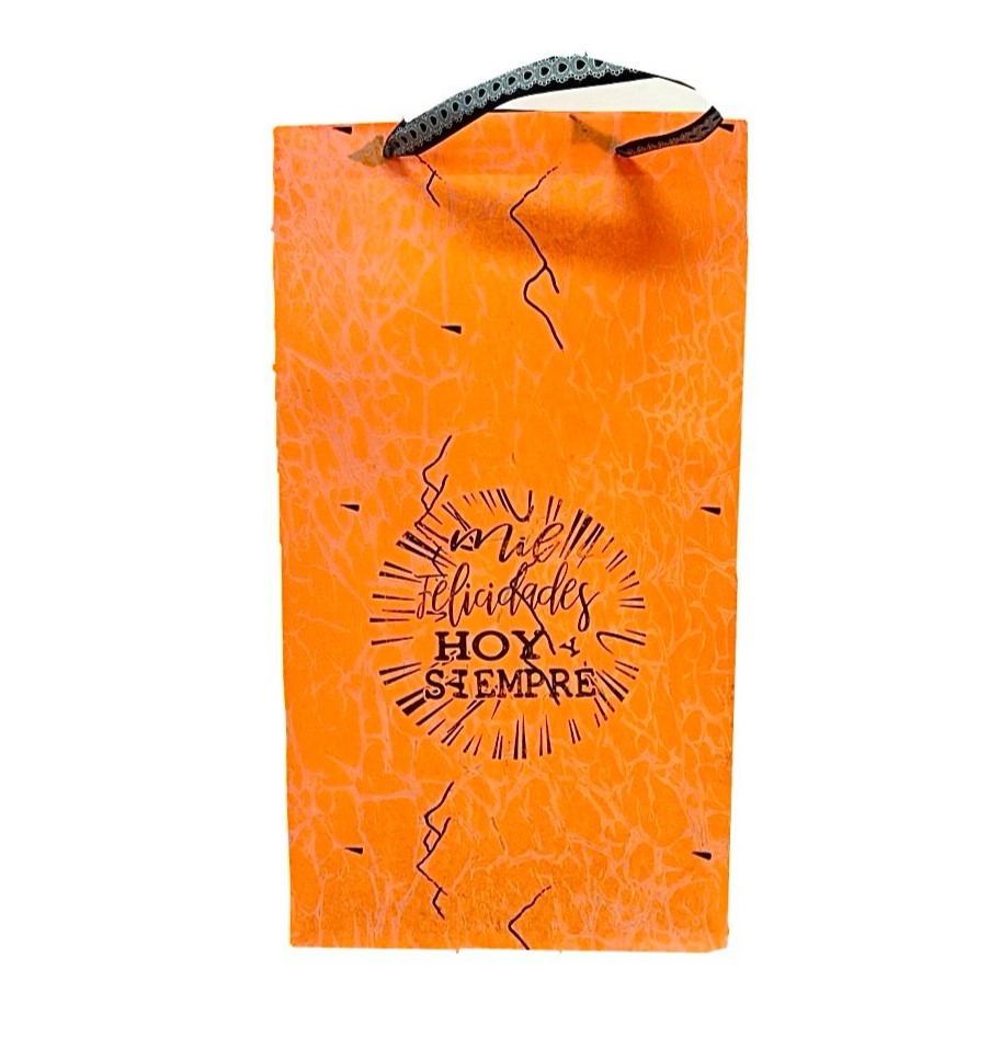 Bolsa regalo cariñito grd vertical novedad estampada