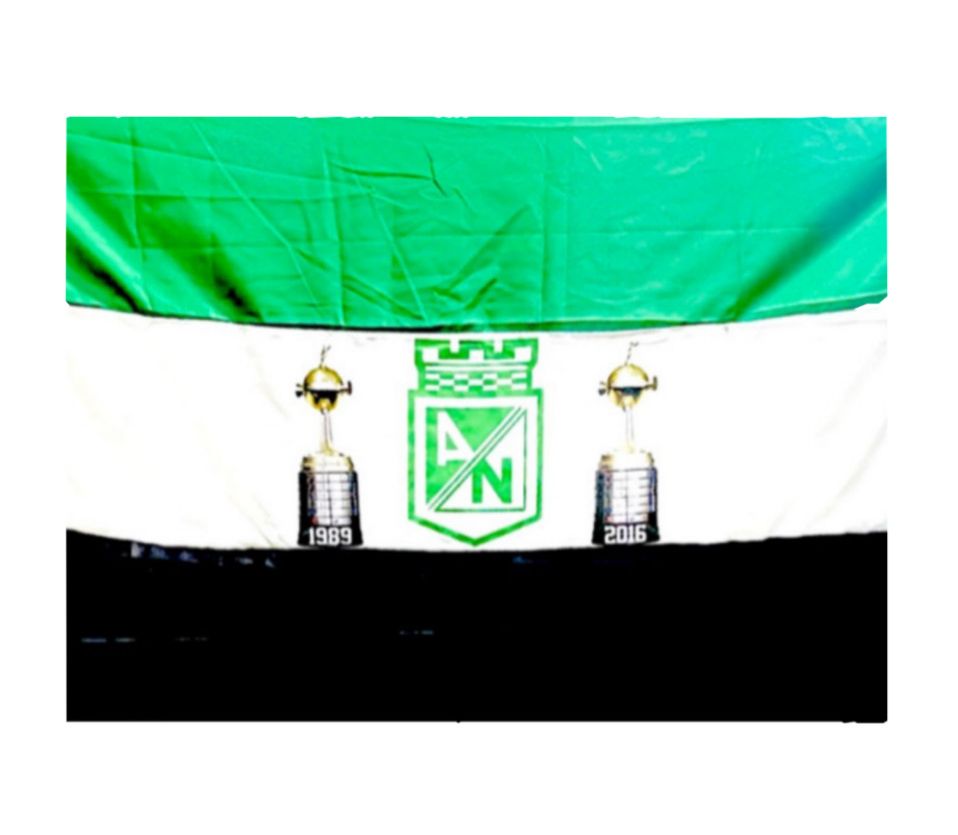 Bandera nacional pequeña con escudo 50x75