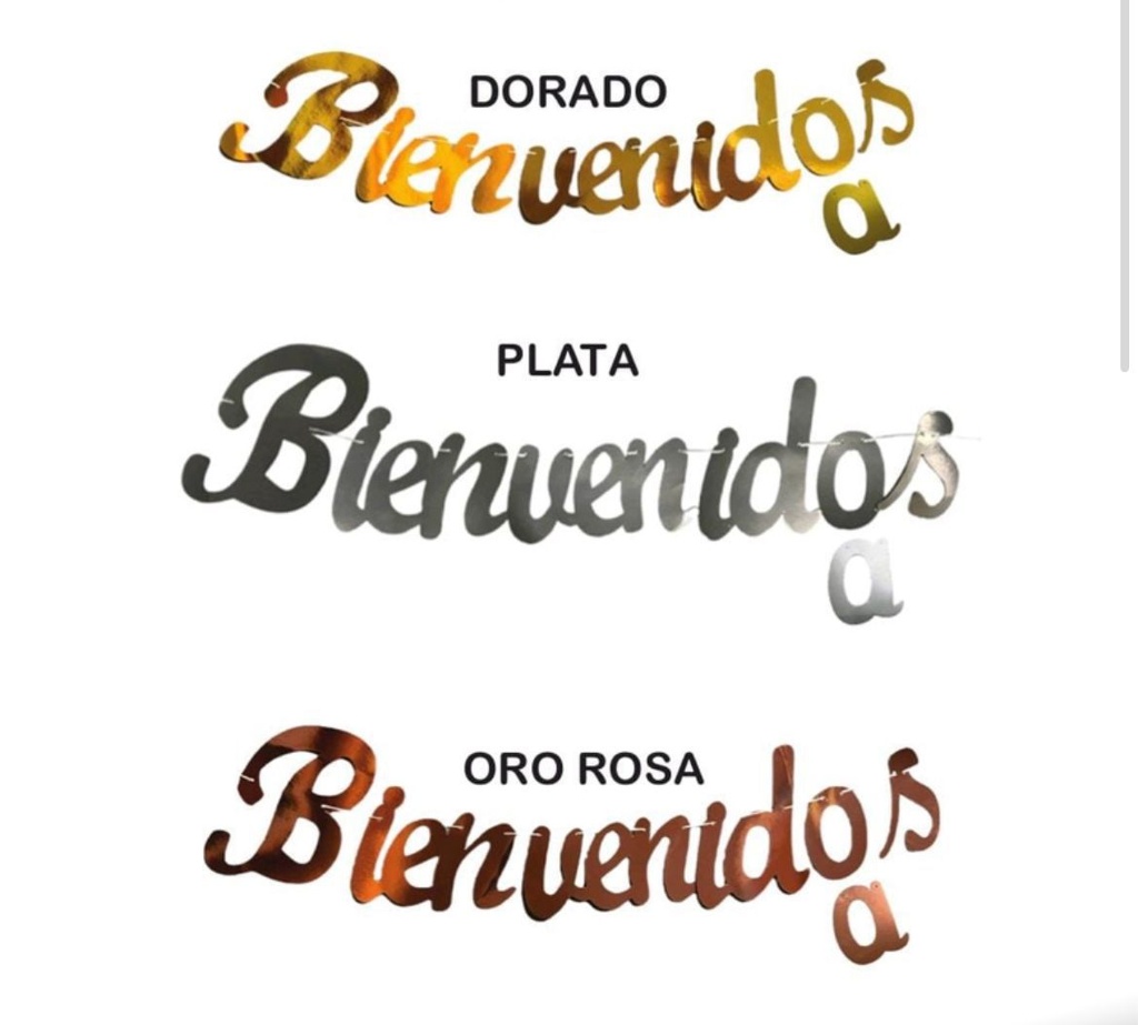 Bienvenido cursivo