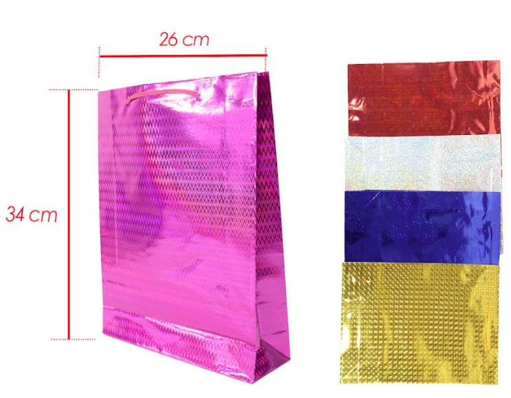Bolsa regalo tornasol mediana 27x34 PQT X12 