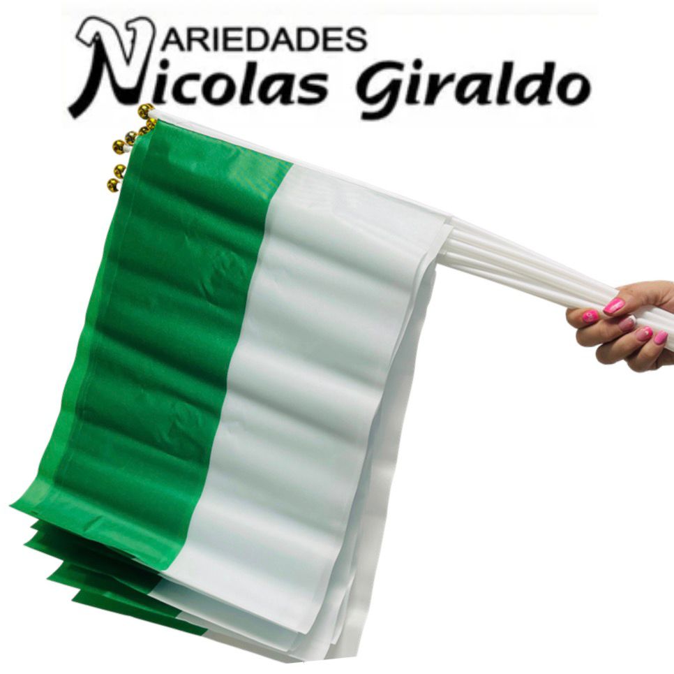 Bandera nacional sencilla 30x42 pqt x12