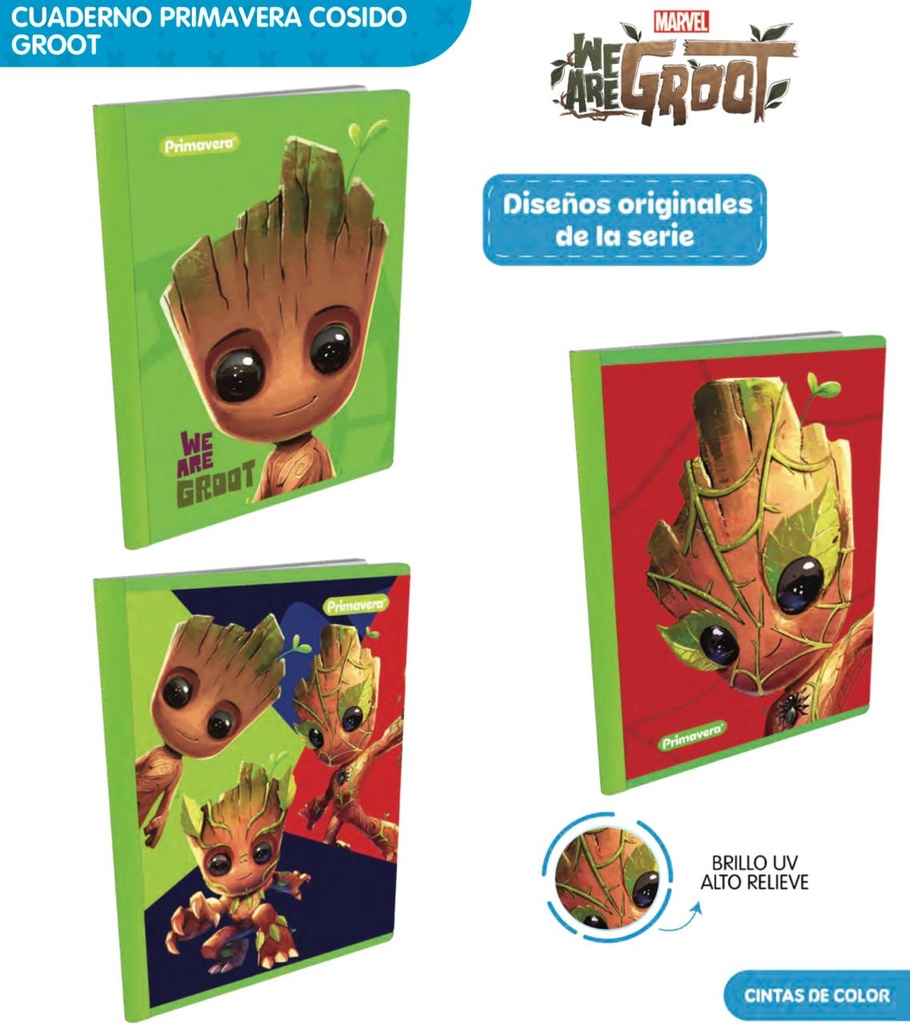 Cuaderno cosido prim. 100 H cuadro groot