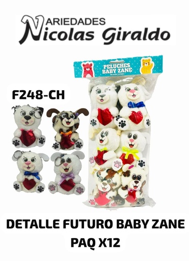 [F248-CH] Detalle futuro baby zane paq x12