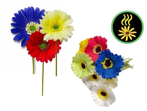 [PTF-479] Flor girasol fino x1  paquete x12 unidades