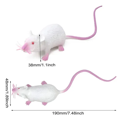 [PTF-421] Raton estirable cj x12 