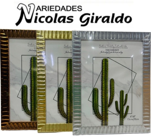 [PT19737] Porta retrato 6x8 acetato  