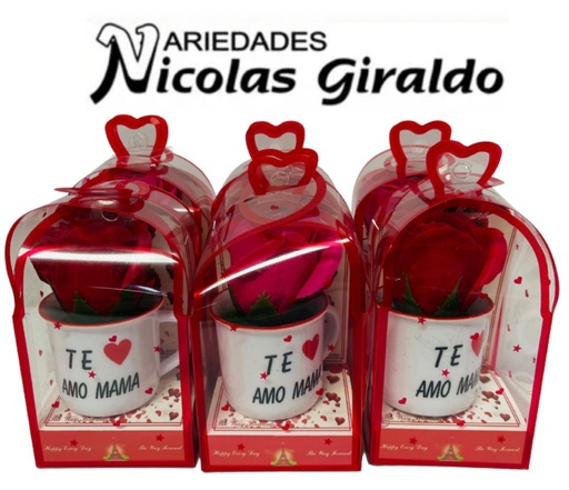 [PTQ2048] Regalo rosa en acetato cj x6