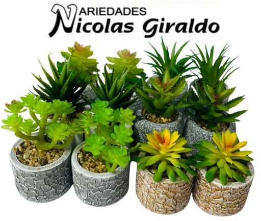 [PTQ2058] Matera mini soculentas CJX12