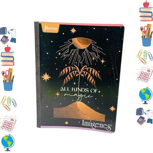 [551318] Cuaderno norma cosido economico 100H cuadro femenino